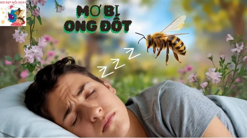 Mơ Bị Ong Đốt: Giải Mã Những Ẩn Ý Bất Ngờ